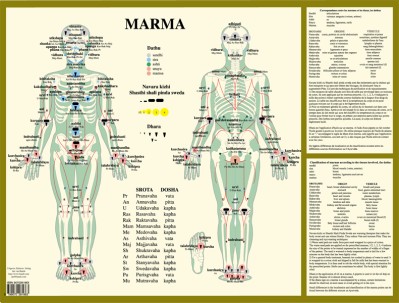 Marma, Ayurvediska punkter A2