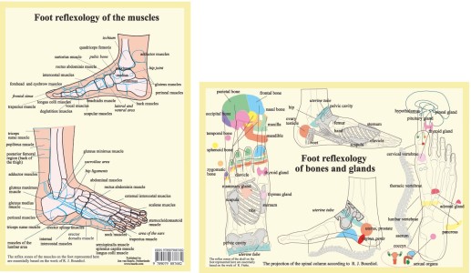 Foot reflexology of bones, glands and muscles, plansch A4