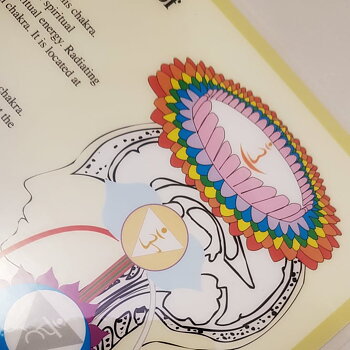The Chakras