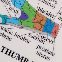 Hand and Foot Reflexology Chart, plansch A4 - 2