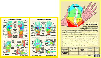 Hand and Foot Reflexology Chart, plansch A4