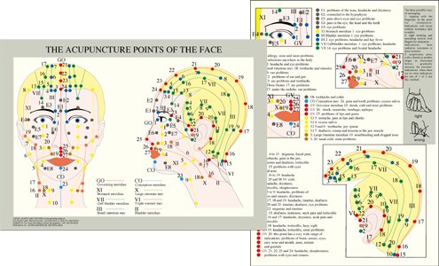 Ansikts- och skall-akupunktur Acupuncture points of the face A4