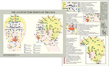 Ansikts- och skall-akupunktur Acupuncture points of the face A4