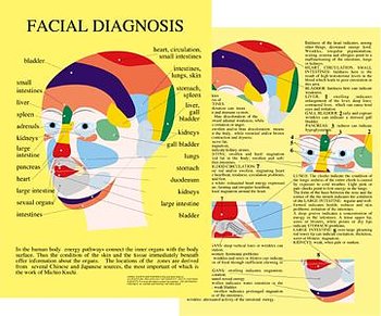 Ansiktsdiagnostik - Facial Diagnosis A4
