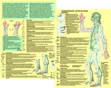 Symptomatic Acupuncture Points-Symtomatiska Akupunkturpunkter, Dubbelsidig A4