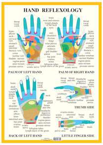Hand Reflexiology Chart, plansch A4 av Van Baarle