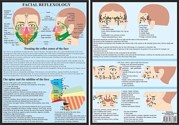 Ansikts reflexiologi - Facial Reflexology, A4