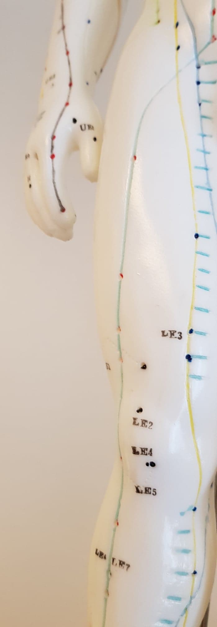 Akupunkturmodell , Man 50 cm - 3