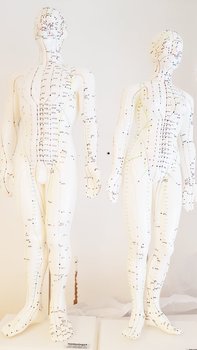 Akupunkturmodell , Man 50 cm
