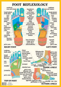 Foot reflexology Chart, plansch A2