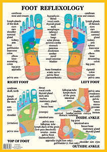Foot reflexology Chart, plansch A2