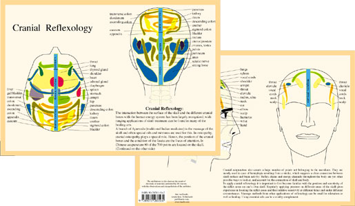 Kranial reflexiologi - Cranial Reflexology, A4