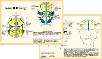 Kranial reflexiologi - Cranial Reflexology, A4