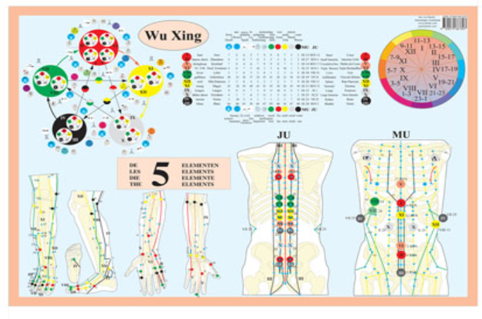 Wu Xing The 5 elements