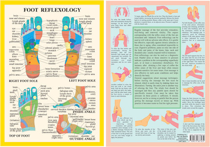 Foot reflexology Chart, plansch A4