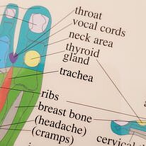 Foot reflexology Chart, plansch A4