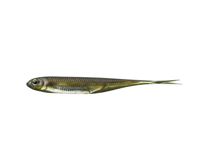 Fish Arrow Flash-J Split 4" 5-pack - 3