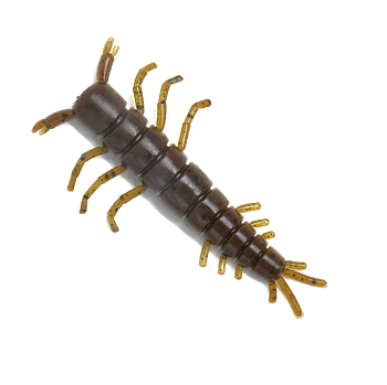 MAX4 Moonbug 3" 4-pack