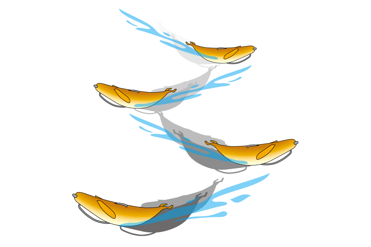 Deps Sakamata Shad 5'' 6-pack - 2