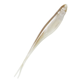 Z-Man StreakZ 3,75" 9,5 cm 6-pack - 3