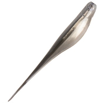 Z-Man StreakZ 3,75" 9,5 cm 6-pack - 4