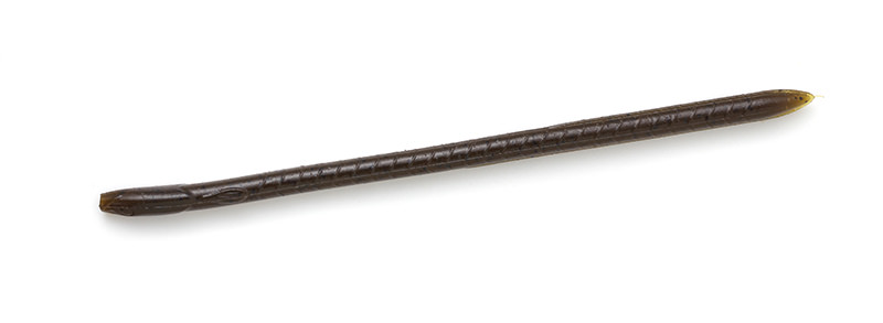Imakatsu Skinny Eel Crawler 10 cm 16-pack - 2