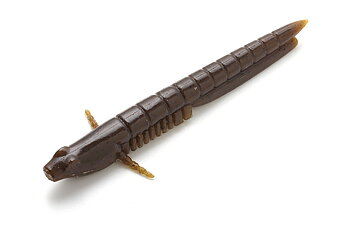 Imakatsu Gentabow 4" 10 cm 6-pack