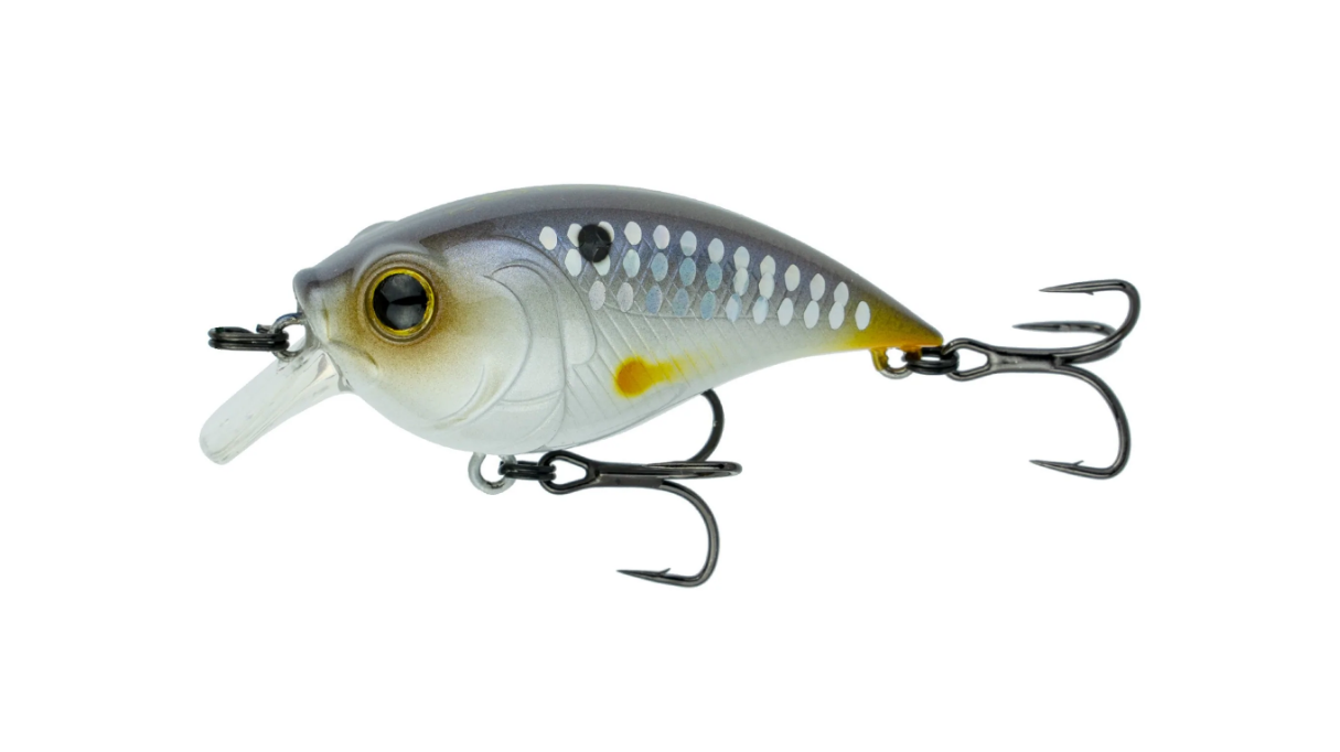6th Sense Curve 55 Finesse  - 13