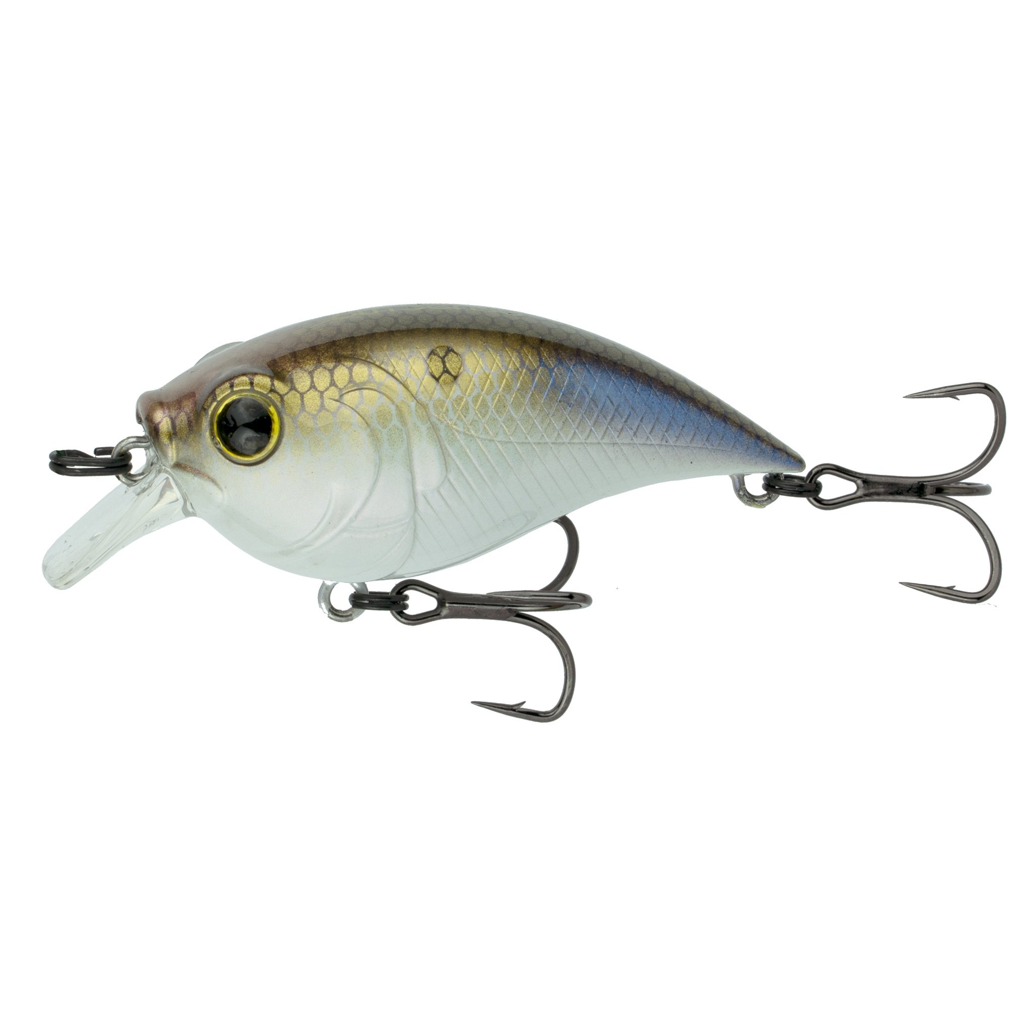 6th Sense Curve 55 Finesse  - 4