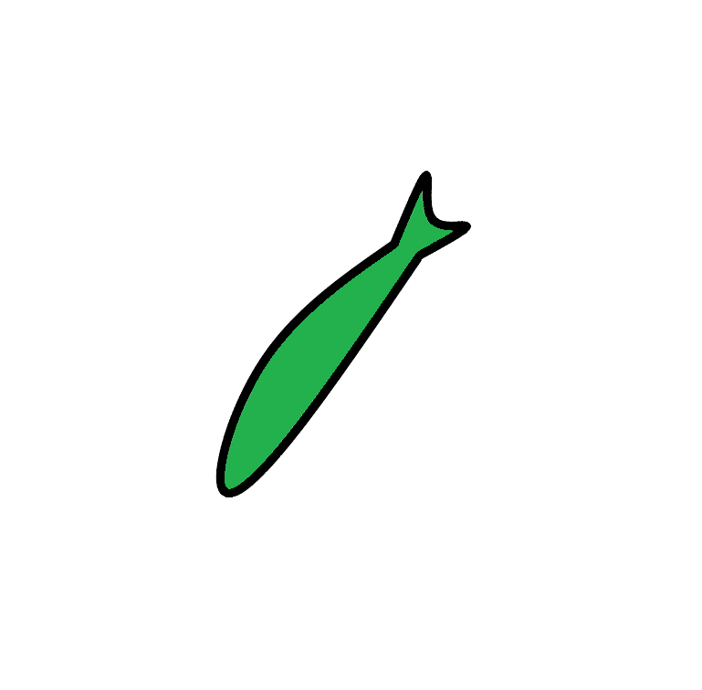 Ned Minnows