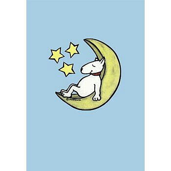 21-213 KORT A6 MORRIS ON MOON