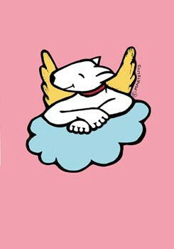 21-211 KORT A6 ANGEL