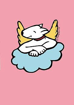 21-211 KORT A6 ANGEL