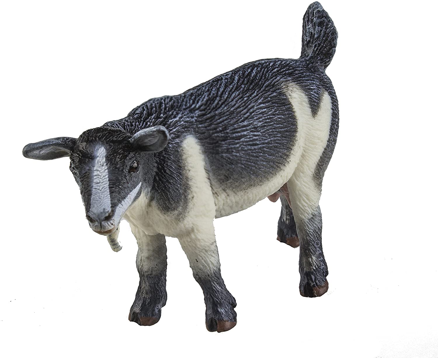 Pygmy Nanny Goat - Zoologishoppen Pygmy Nanny Goat - Zoologishoppen