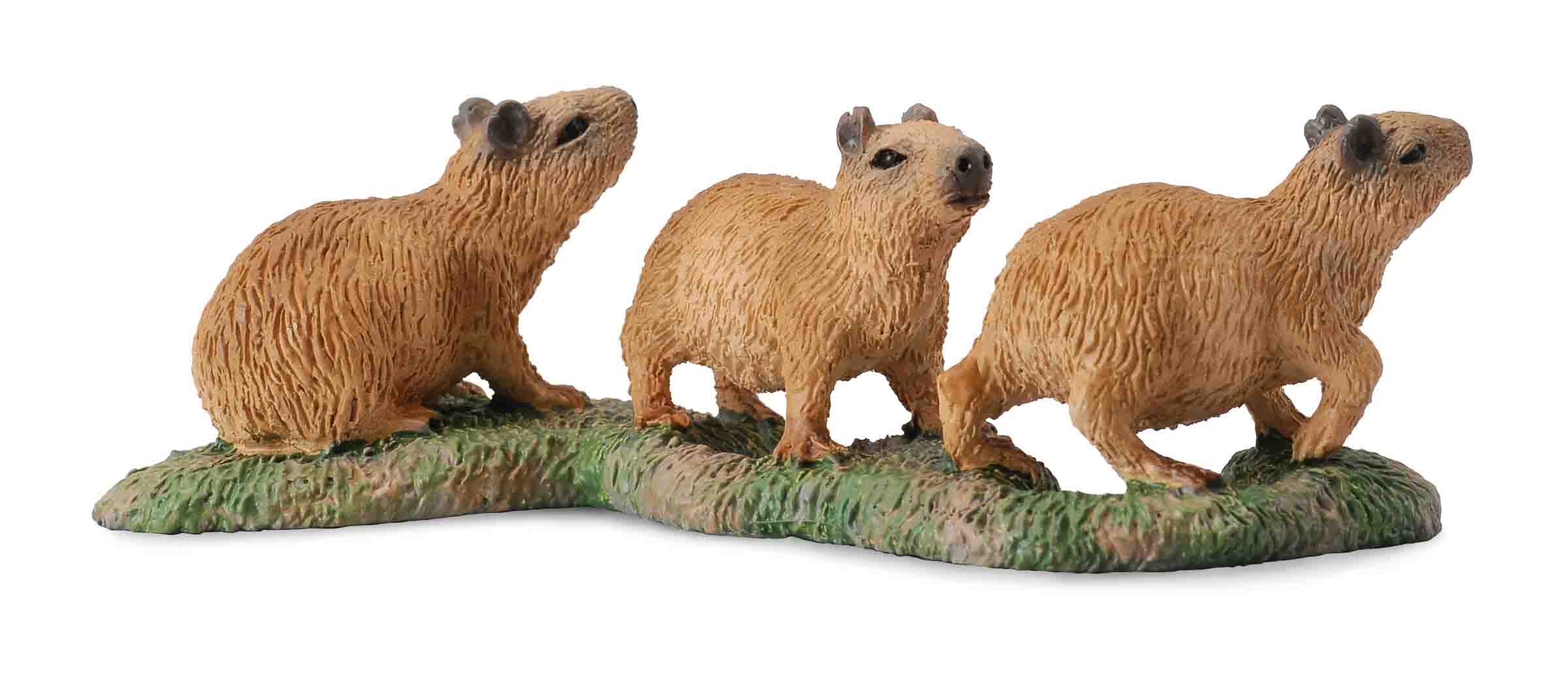 Capybara Babies - Zoologishoppen