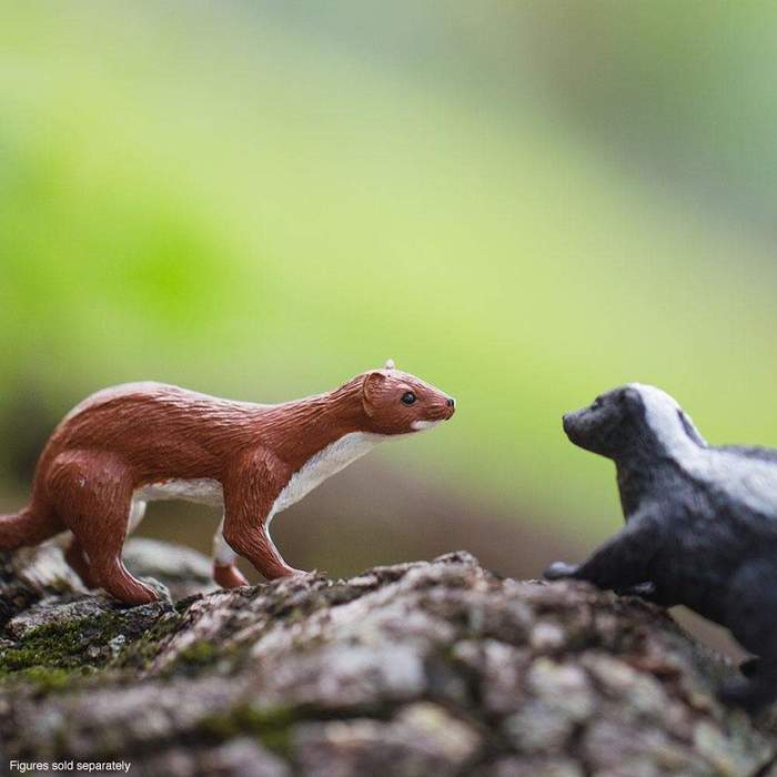 Vessla - Zoologishoppen