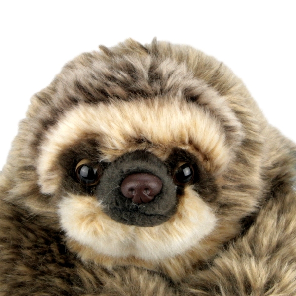 National geographic sloth clearance plush