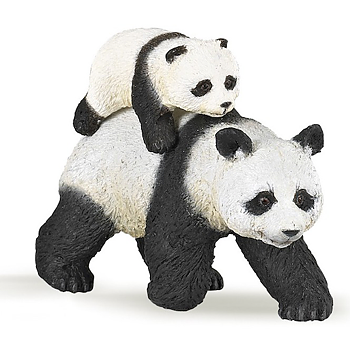 Panda (jättepanda) med unge