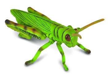 Grön Gräshoppa