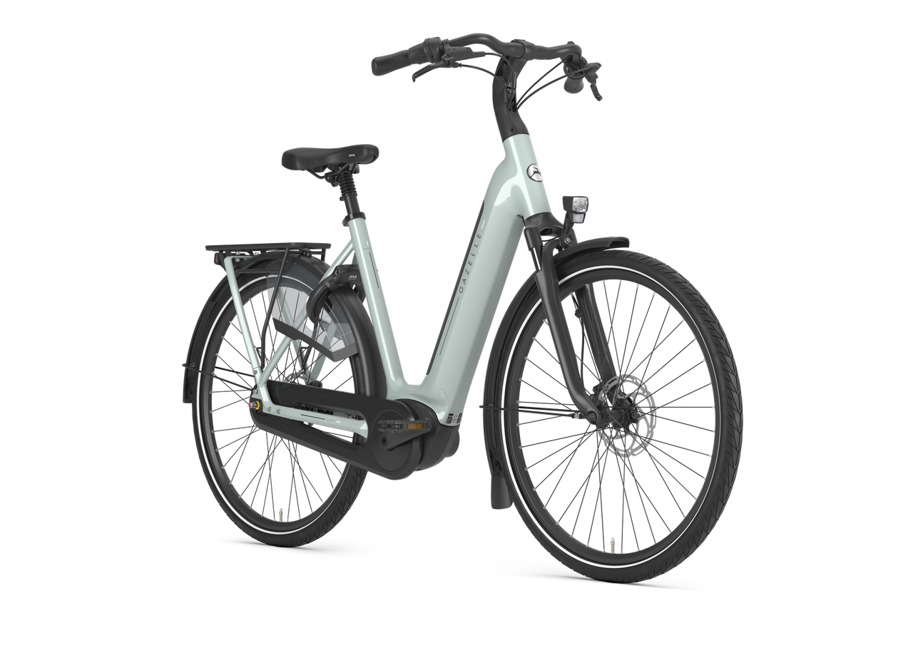 Gazelle Arroyo C8 Elite Dam - 4