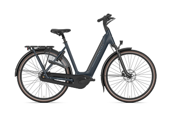 Gazelle Arroyo C8 Elite Dam