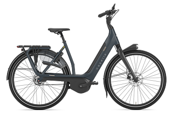 Gazelle Avignon C5 Dam