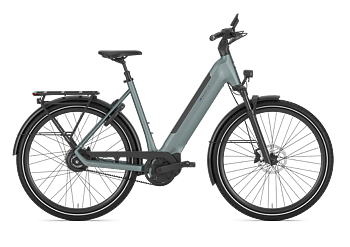 Gazelle Ultimate C380 Dam