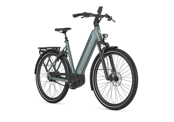 Gazelle Ultimate C380 Dam