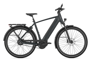 Gazelle Ultimate C380 Herr