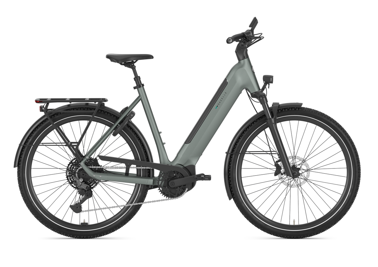 Gazelle Ultimate T11 Dam