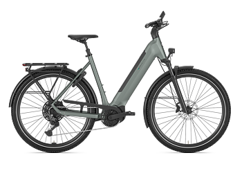Gazelle Ultimate T11 Dam