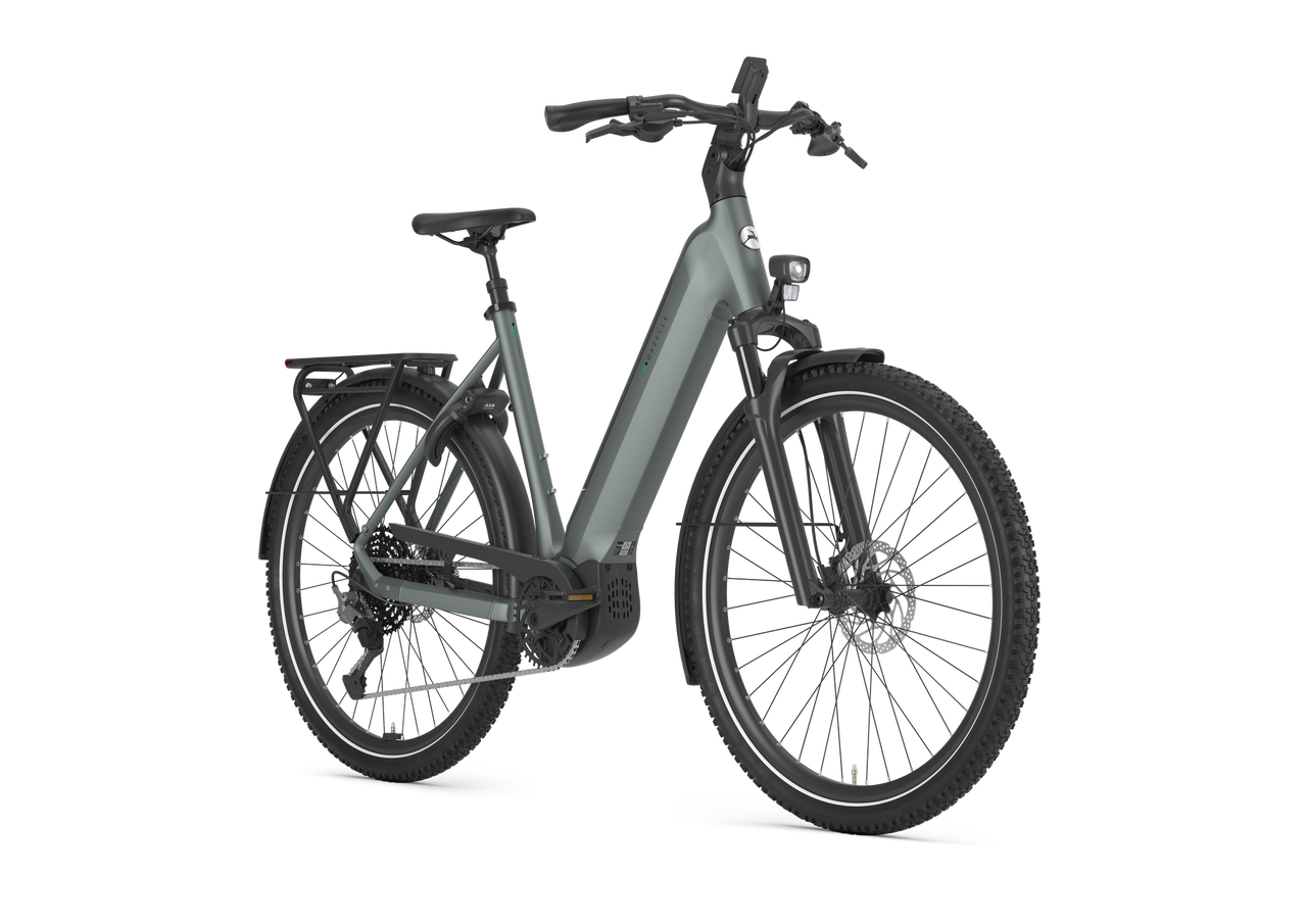 Gazelle Ultimate T11 Dam - 2