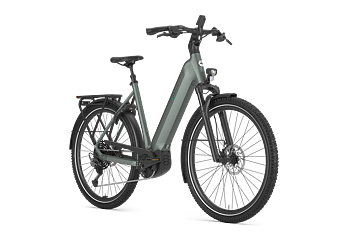 Gazelle Ultimate T11 Dam