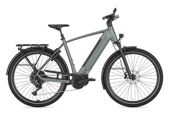 Gazelle Ultimate T11 Herr